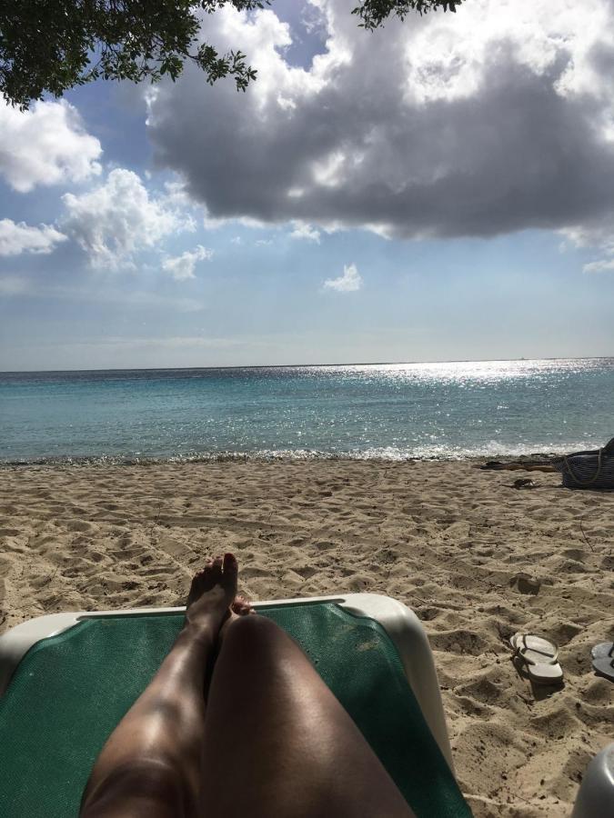 Appartement Aan Het Strand De Zeemeermin Zoutelande Eksteriør billede